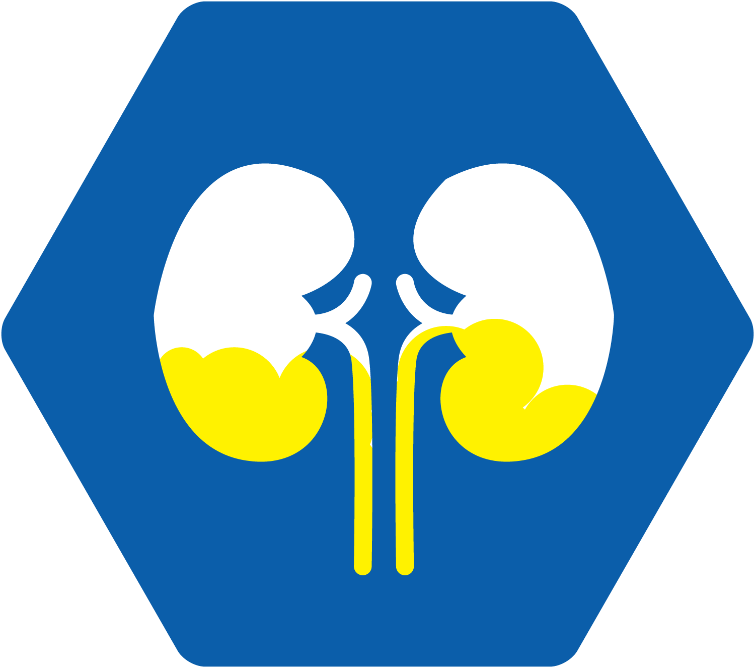 Pryme Australia - HYDRATION ICON - KIDNEY PROBLEMS